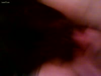 Cunt hungry dog lapping unshaved slut